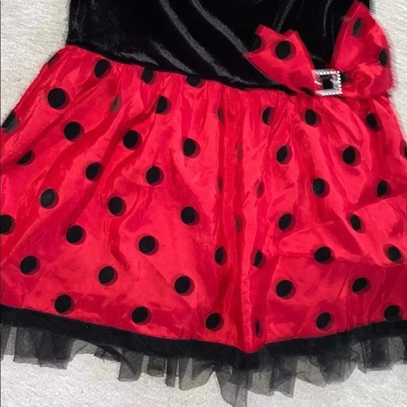 Ladybug girl Holiday special occasion  dress - Picture 4 of 6